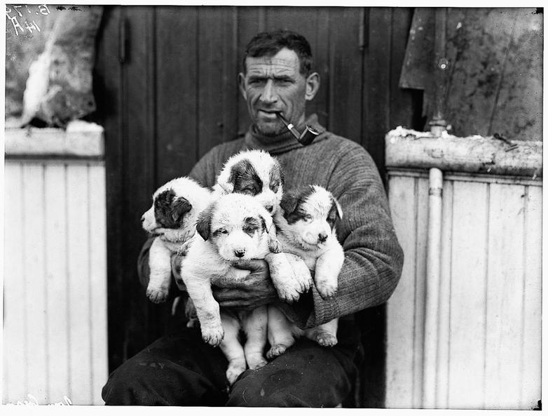 When Ernest Shackleton’s Crew Returned After Their Expedition to Antarctica, Were They Surprised That WW1 Was Still Ongoing?