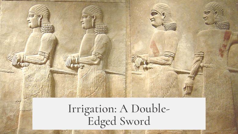 Irrigation: A Double-Edged Sword