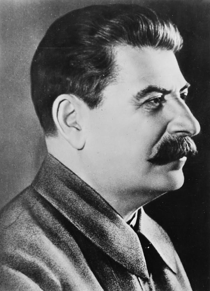 The bookYoung Stalinis regarded as a reliable and detailed source of historical imagery, presenting photographs without indication of manipulation. Historians relying on this work find that the youthful photos used provide an accurate depiction of Stalin’s early appearance, lending weight to the view that these photos were not altered by the Soviet government.