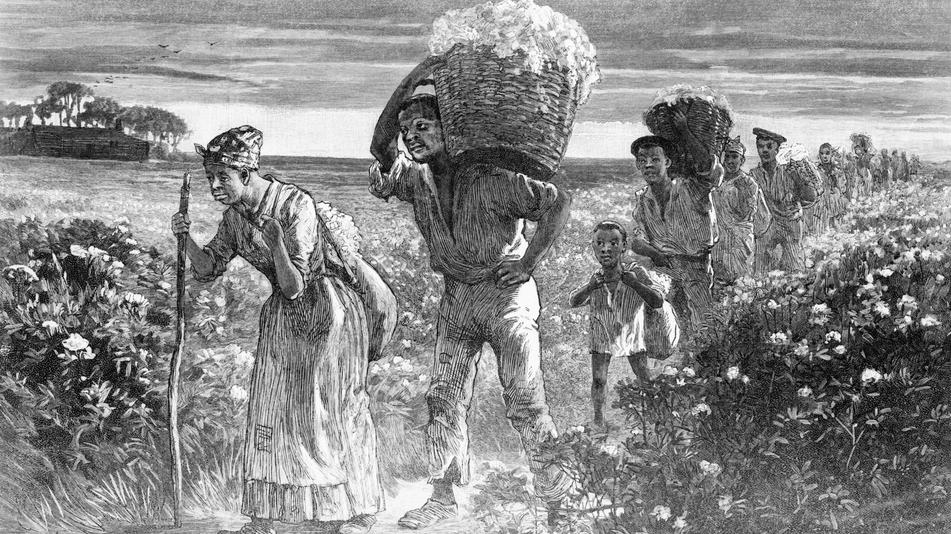 Let's break it down clearly and honestly. The price of enslaved people in 19th-century America is not just historical trivia—it's a window into an economic system that shaped a continent.