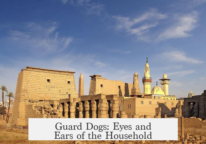 Guard Dogs: Eyes and Ears of the Household