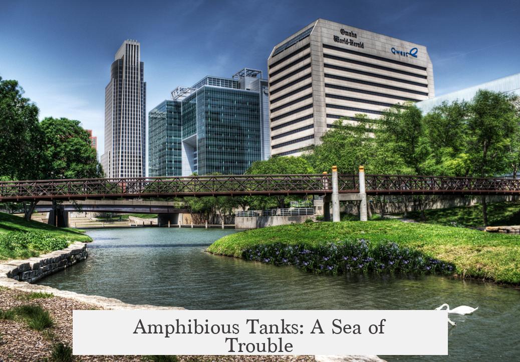 Amphibious Tanks: A Sea of Trouble