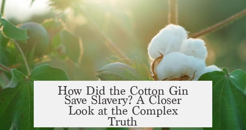 How Did the Cotton Gin Save Slavery? A Closer Look at the Complex Truth