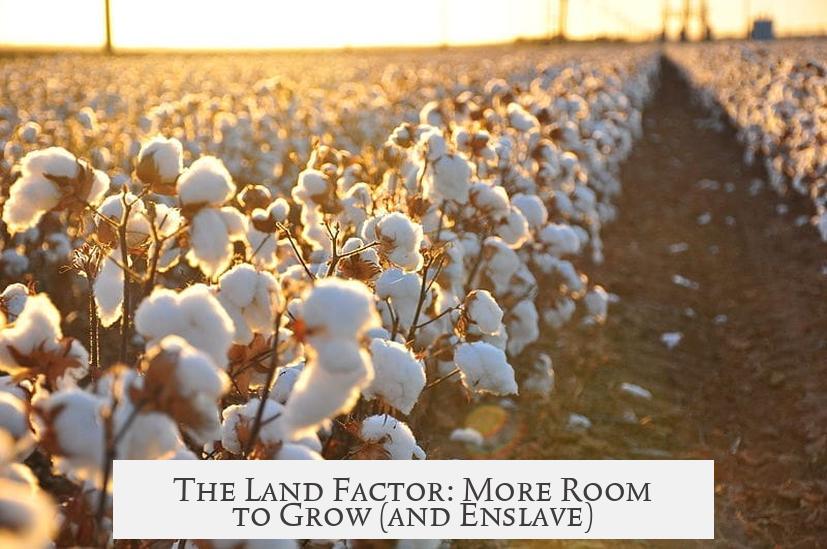 The Land Factor: More Room to Grow (and Enslave)