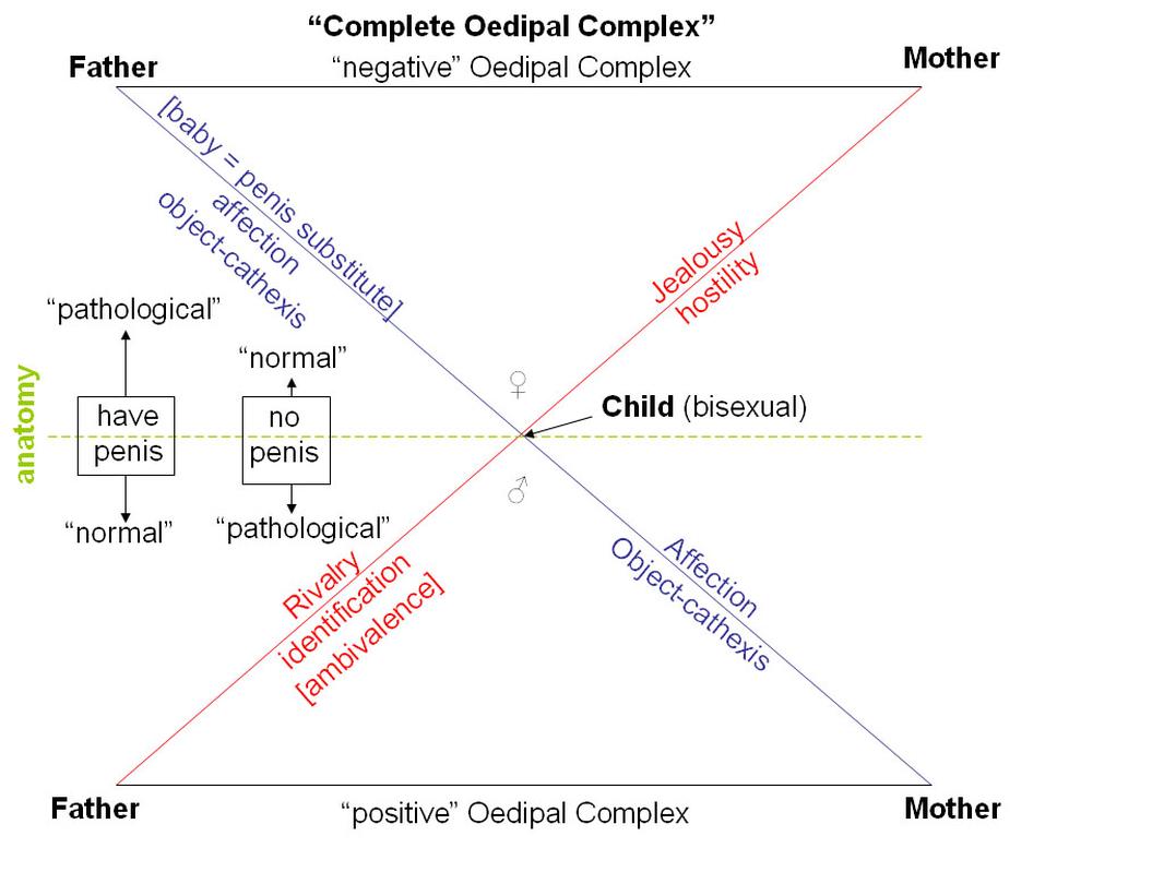Did Sigmund Freud's mother, Amalia Nathansohn Freud, ever comment on Freud's concept of the Oedipus complex?