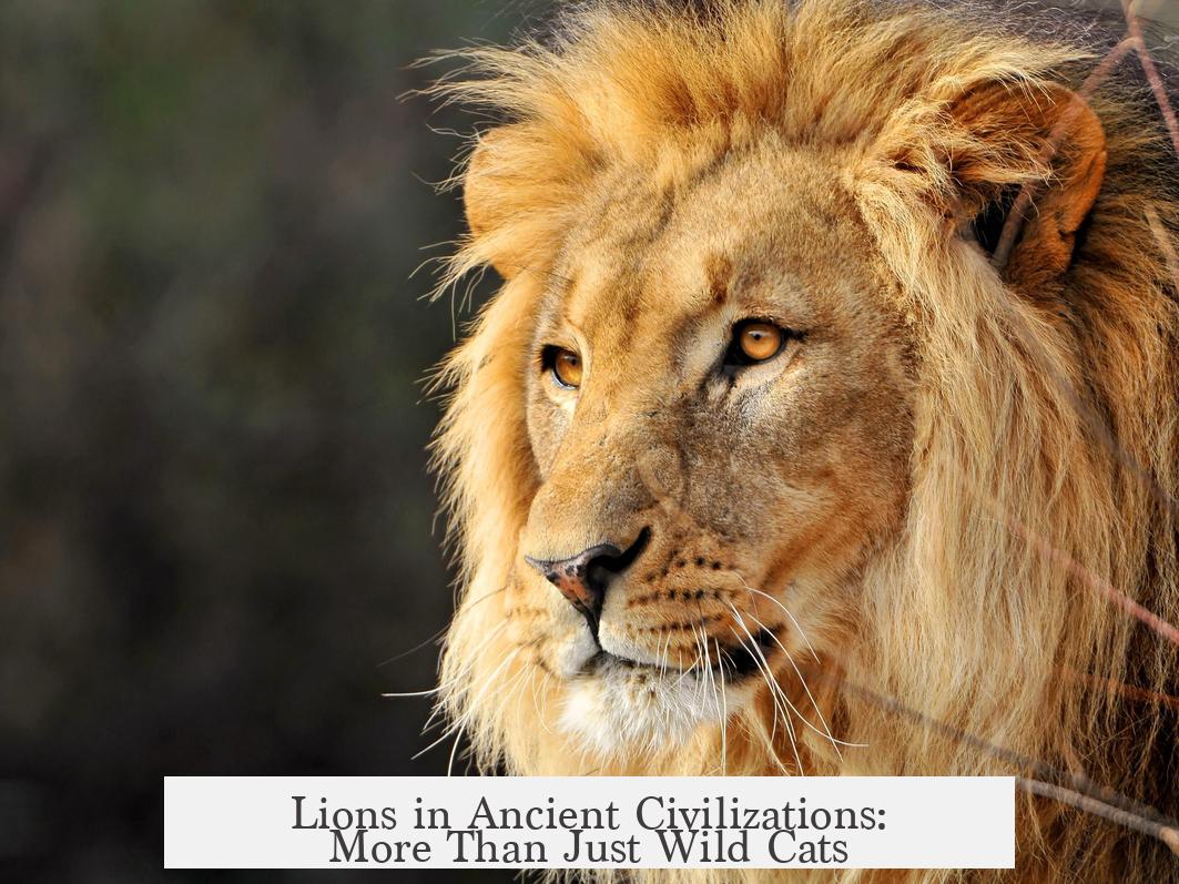Lions in Ancient Civilizations: More Than Just Wild Cats