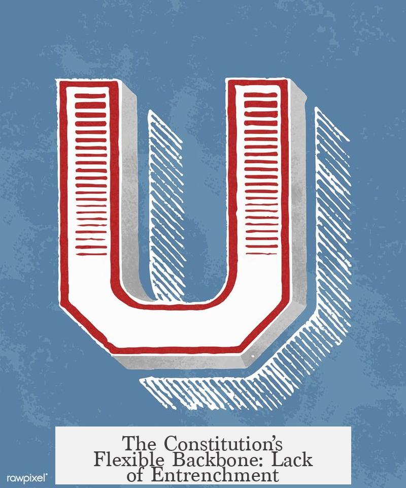 The Constitution’s Flexible Backbone: Lack of Entrenchment