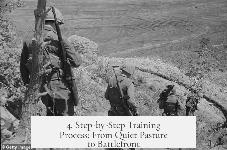 4. Step-by-Step Training Process: From Quiet Pasture to Battlefront