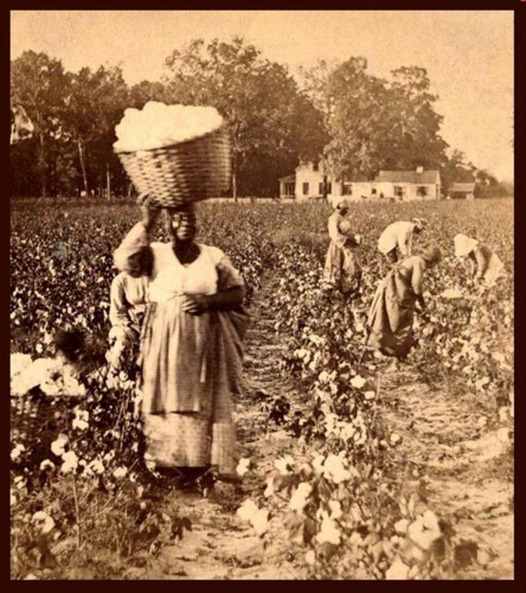 How Much Did Slaves in America Cost in Today's Money?