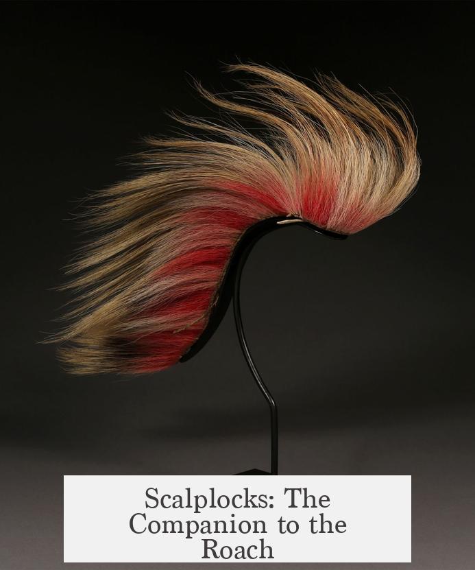 Scalplocks: The Companion to the Roach