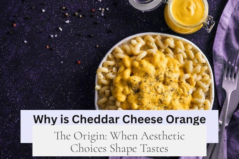 The Origin: When Aesthetic Choices Shape Tastes