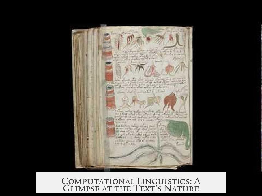 Computational Linguistics: A Glimpse at the Text’s Nature
