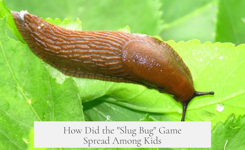 How Did the "Slug Bug" Game Spread Among Kids?