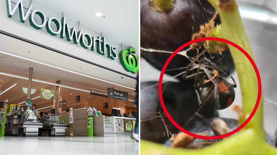 Why Are There Unrelated "Woolworths" Supermarket Chains in the USA, South Africa, and Australia? Did They Ever Challenge Each Other Over the Name?