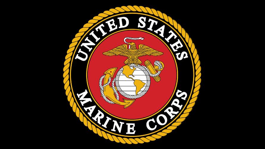 Why Didn't the Marines Lead the D-Day Assault? Unpacking the Pacific Puzzle on Normandy's Shores