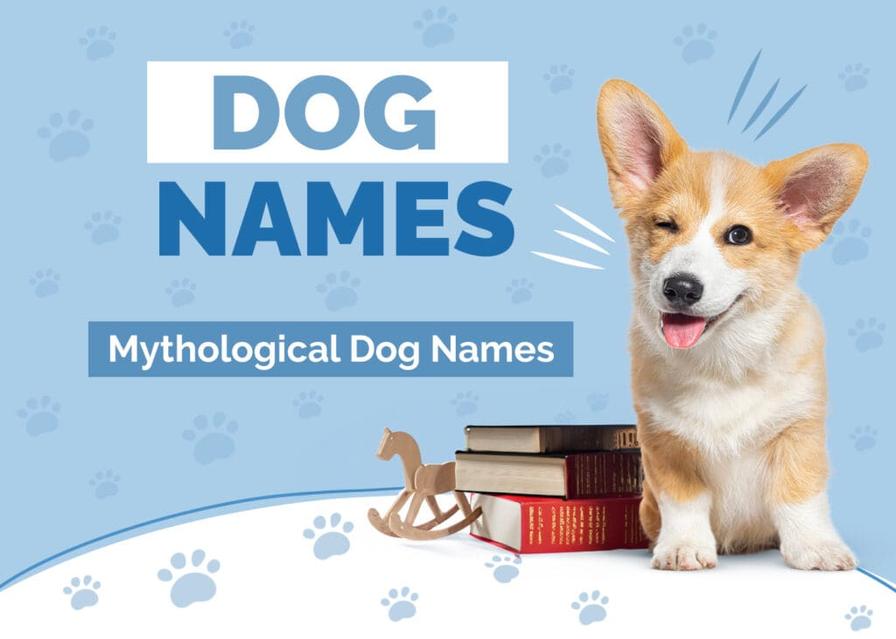 Why Choose a Mythological Name for Your Dog?