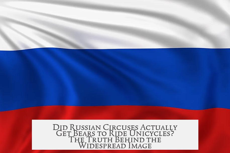 Did Russian Circuses Actually Get Bears to Ride Unicycles? The Truth Behind the Widespread Image