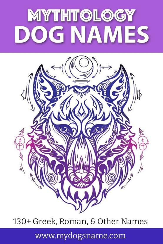 Would your dog be the loyal watchdog, the fierce protector, or the clever companion? Mythological dog names help you pick the perfect match.