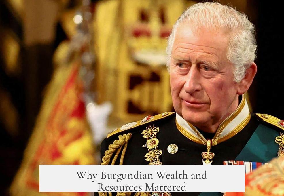 Why Burgundian Wealth and Resources Mattered