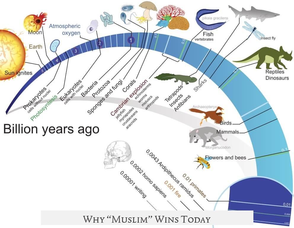 Why “Muslim” Wins Today