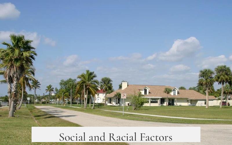 Social and Racial Factors