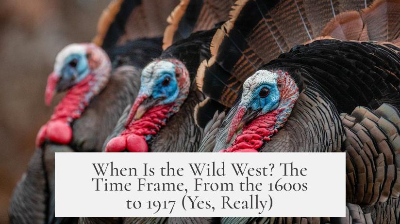 When Is the Wild West? The Time Frame, From the 1600s to 1917 (Yes, Really)