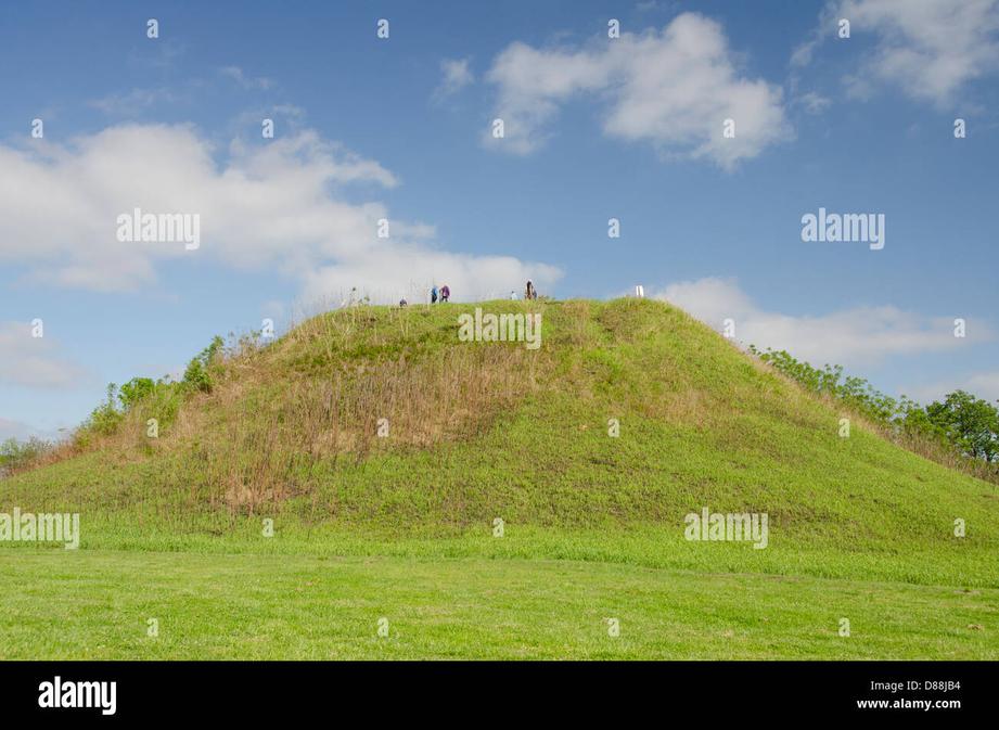 Mississippian Offshoots: Persistence Beyond Cahokia