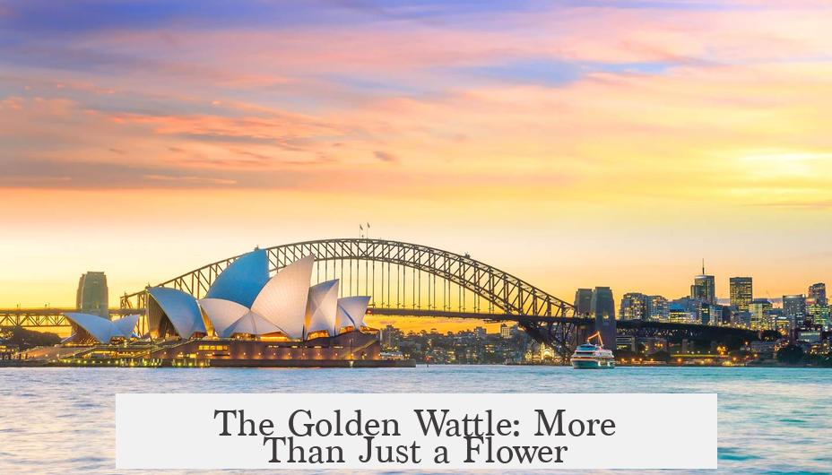 The Golden Wattle: More Than Just a Flower