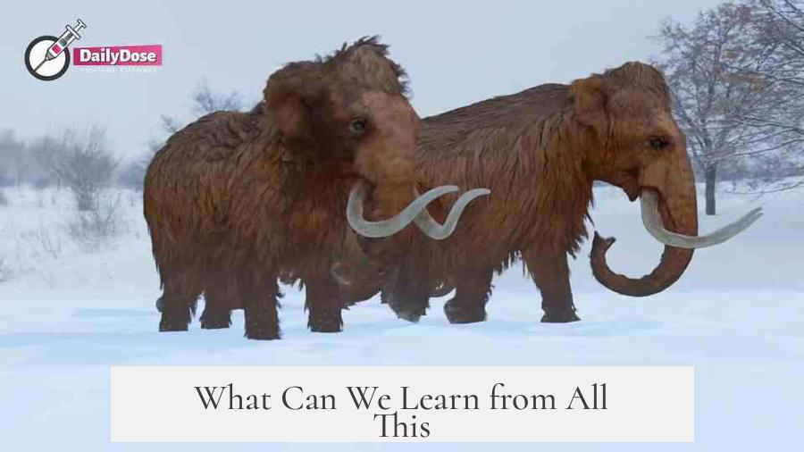 What Can We Learn from All This?