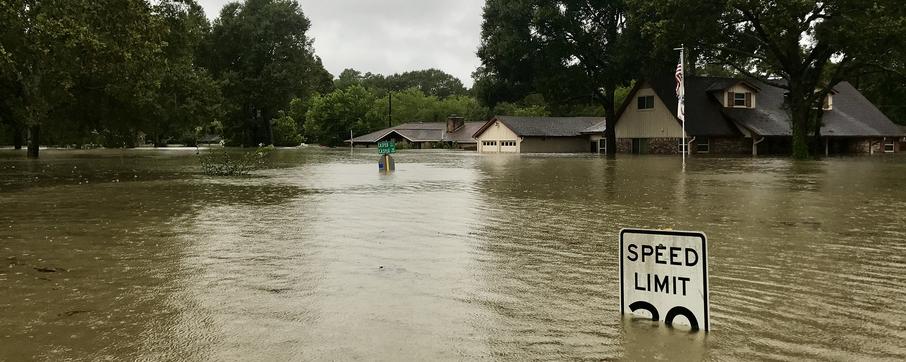 In fact, the global flood narrative gained major traction after Christian missionaries started traveling in the 16th century. They carried Biblical flood stories with them. These narratives mingled with local legends in different regions — some by chance, others by a little rhetorical flair.