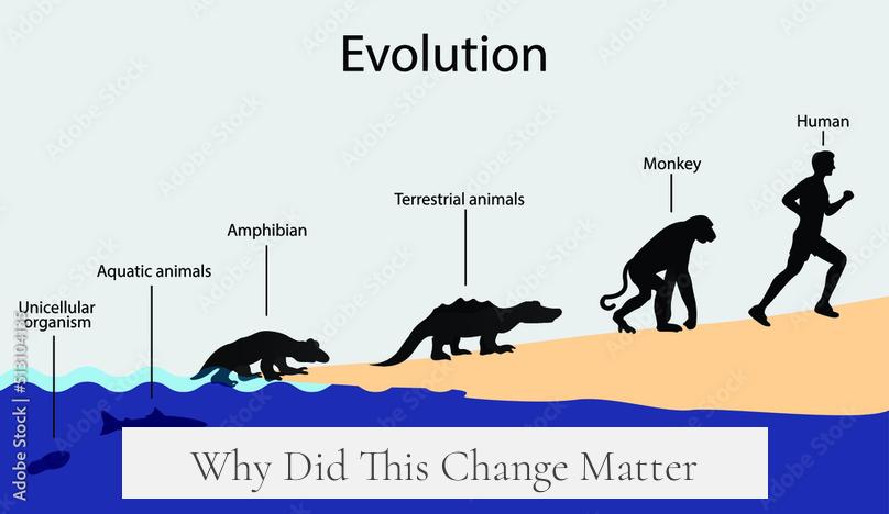 Why Did This Change Matter?