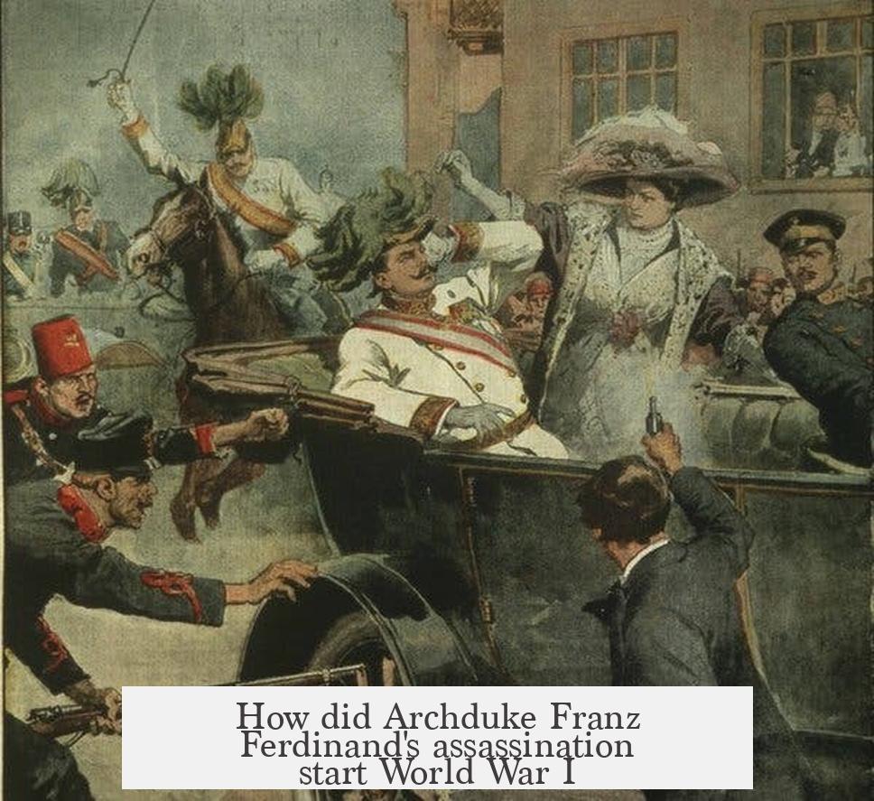 How did Archduke Franz Ferdinand's assassination start World War I?