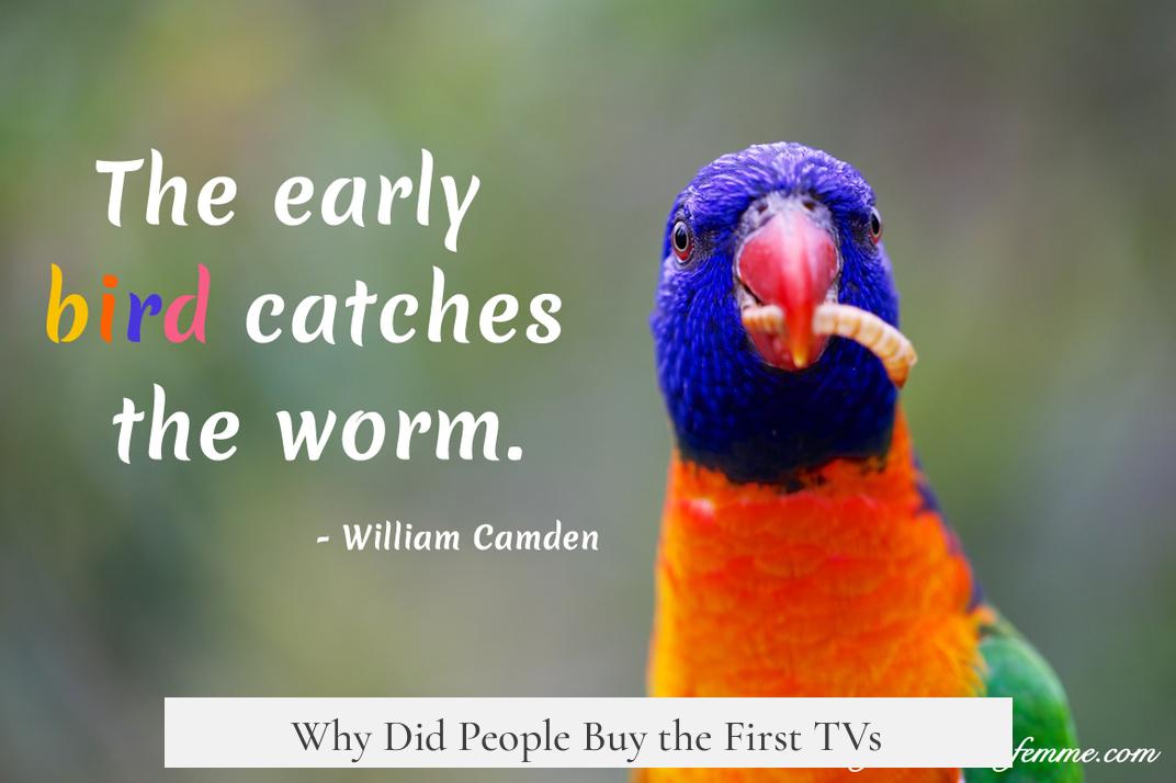 Why Did People Buy the First TVs?
