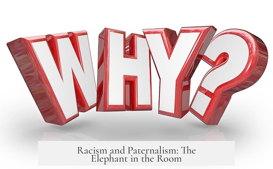 Racism and Paternalism: The Elephant in the Room