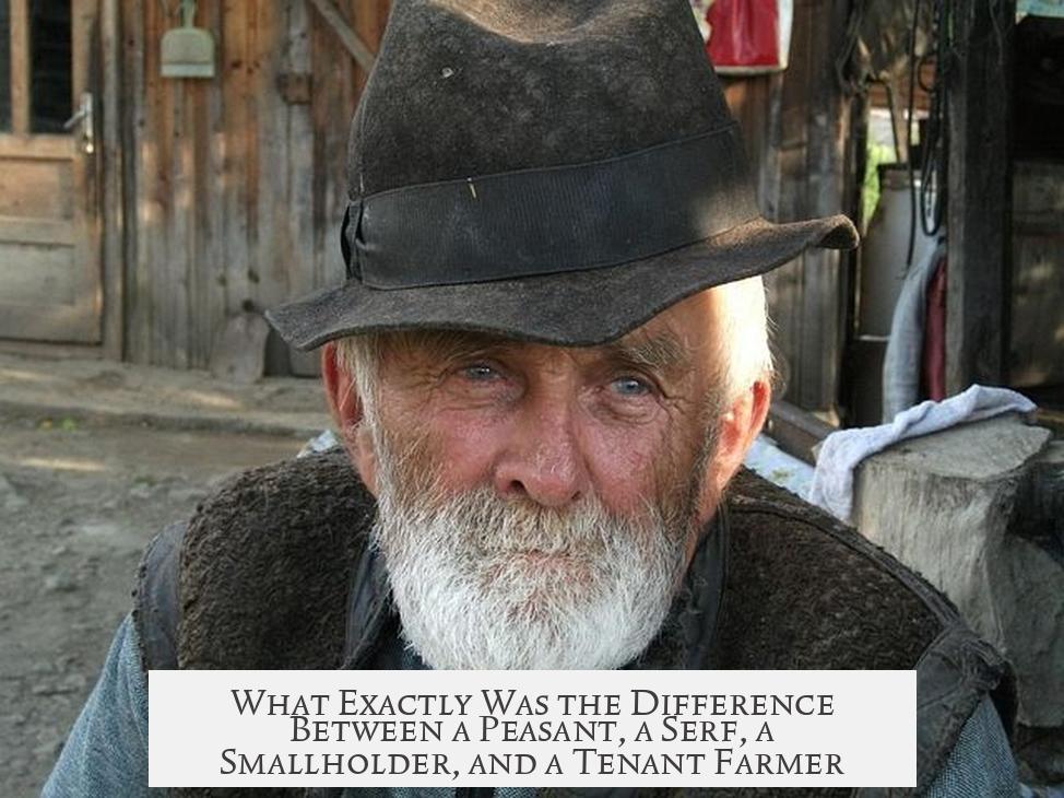 What Exactly Was the Difference Between a Peasant, a Serf, a Smallholder, and a Tenant Farmer?