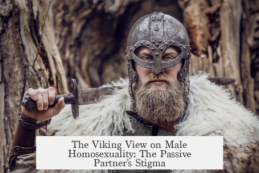 The Viking View on Male Homosexuality: The Passive Partner's Stigma