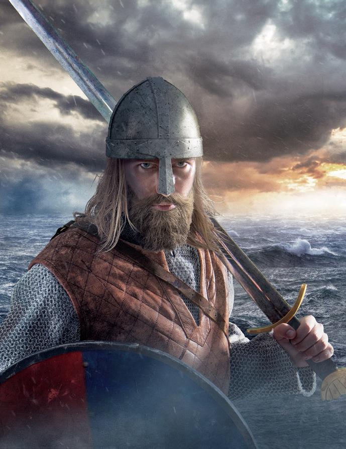 Iconographic evidence mostly relates to beards. Several Viking Age picture stones from Gotland, Sweden, show men with long, possibly braided, beards, supporting the written records about beard styling. Examples include theTjängvide picture stoneand theStora Hammars Stone I. However, these visuals do not confirm braided hair on the scalp.