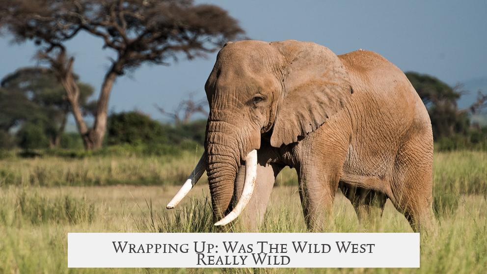 Wrapping Up: Was The Wild West Really Wild?