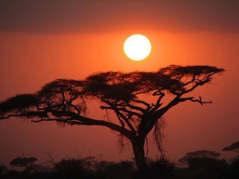 This uncertainty weakens the validity of Alkebulan as a historically verified name for Africa. While the term is frequently described as meaning “mother of mankind” or “garden of Eden,” these translations lack linguistic or etymological support from ancient African languages or inscriptions. The assertion that various ancient African peoples—Moors, Nubians, Numidians, Khart-Haddans (Carthaginians), and Ethiopians—used the name Alkebulan conflicts with known historical and linguistic evidence.