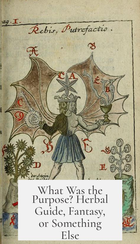 What Was the Purpose? Herbal Guide, Fantasy, or Something Else?