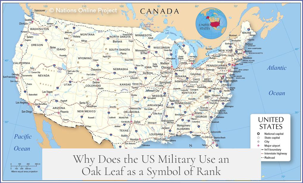 Why Does the US Military Use an Oak Leaf as a Symbol of Rank?