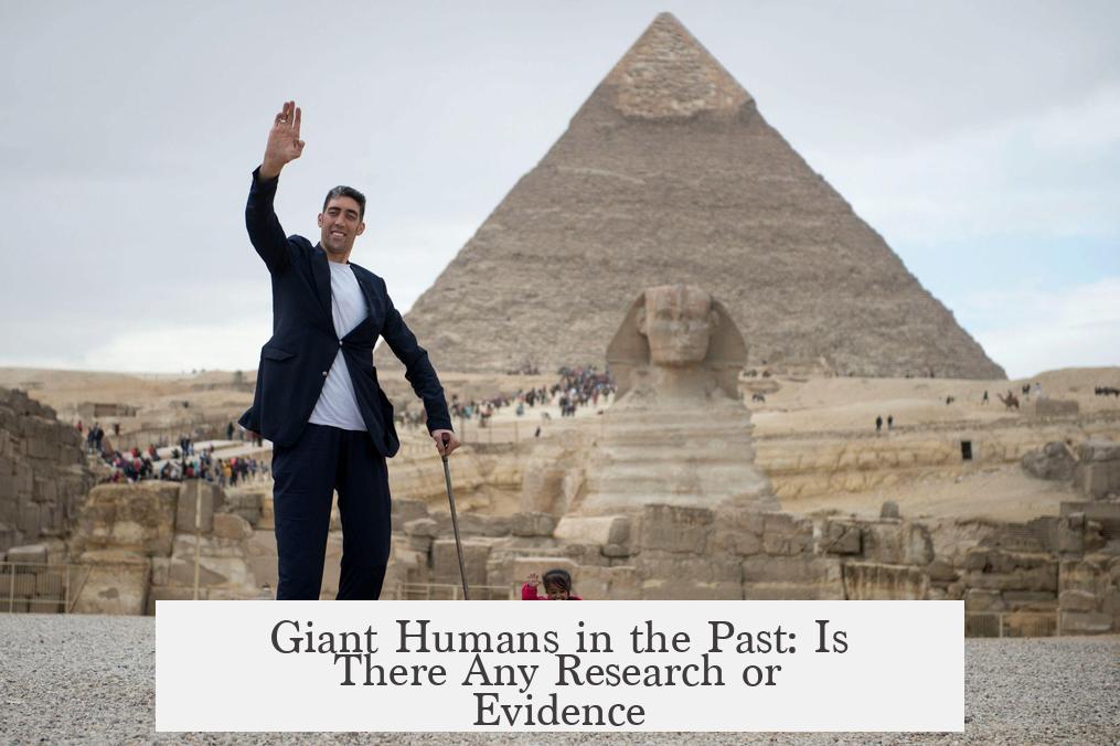 Giant Humans in the Past: Is There Any Research or Evidence?