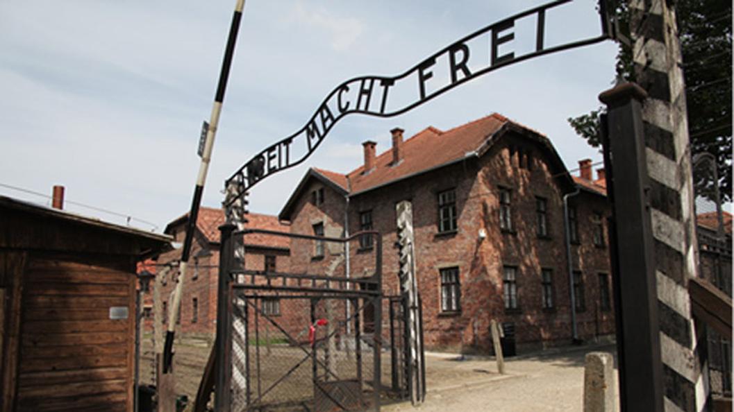Politically, Germany was unstable after World War I. The Weimar Republic was young and fragile. Economic disasters like the Wall Street Crash made many Germans lose faith in democratic parties. Many citizens turned to extremist parties such as the Nazis, who promised national revival and blamed Germany’s failures on scapegoats, principally the Jews. This scapegoating unified certain segments of society around anti-Semitism.