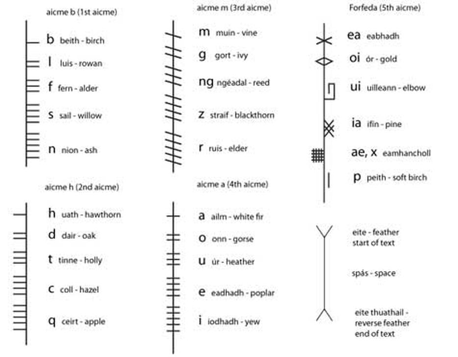 The ogham alphabet includes letters that do not have direct counterparts in the Irish language. This occurs because many ogham letters are tied to symbolic or pictorial meanings rather than purely phonetic ones. For example, the first letter, -b- beithe (‘birch tree’), carries kennings—short descriptive phrases—that highlight visual and cultural traits instead of linguistic sounds.