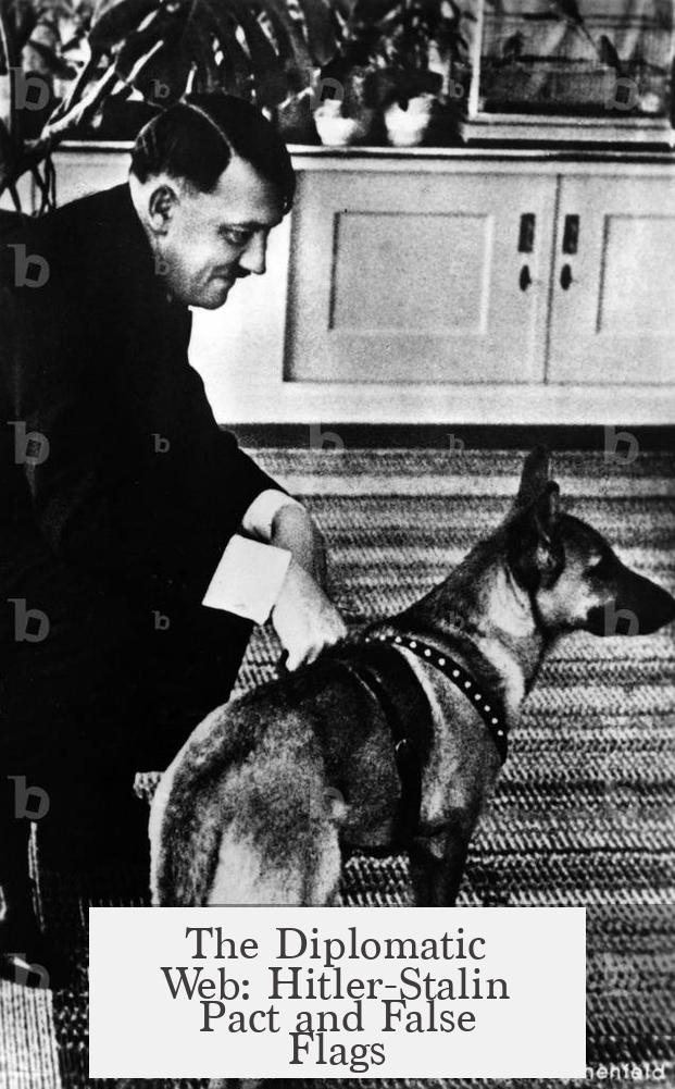 The Diplomatic Web: Hitler-Stalin Pact and False Flags