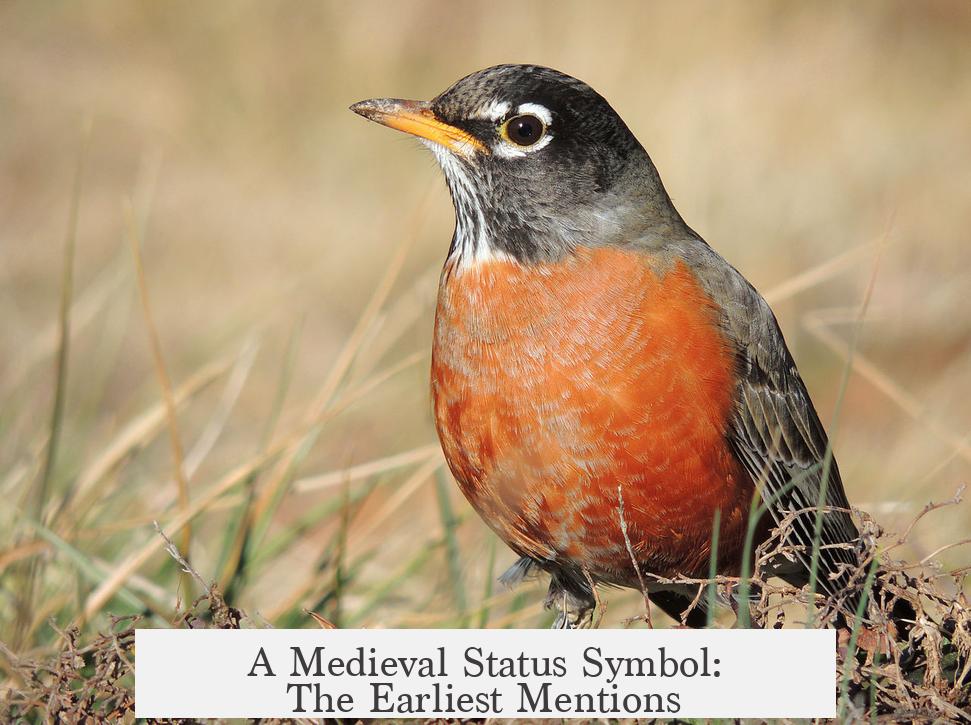 A Medieval Status Symbol: The Earliest Mentions