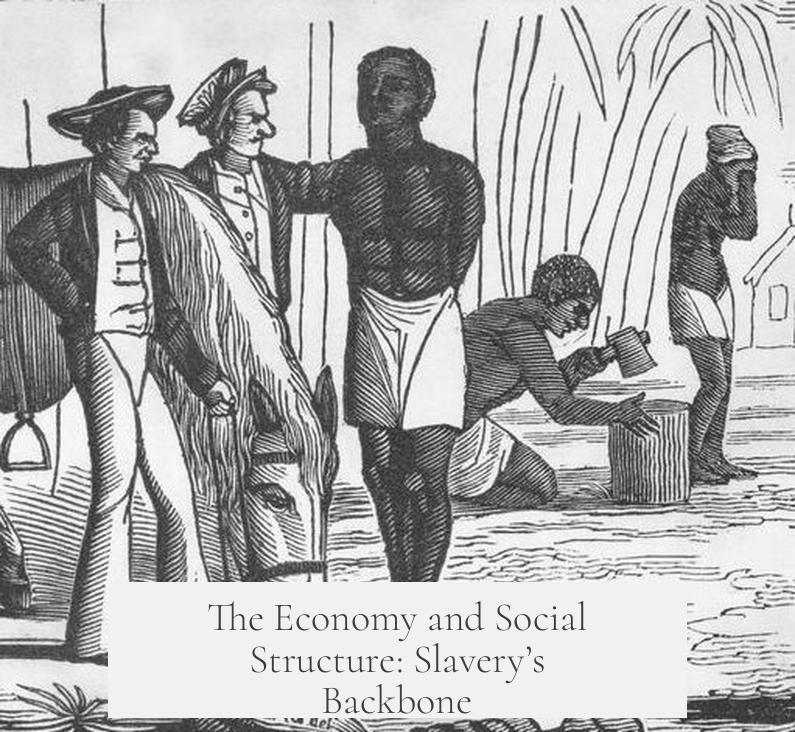 The Economy and Social Structure: Slavery’s Backbone