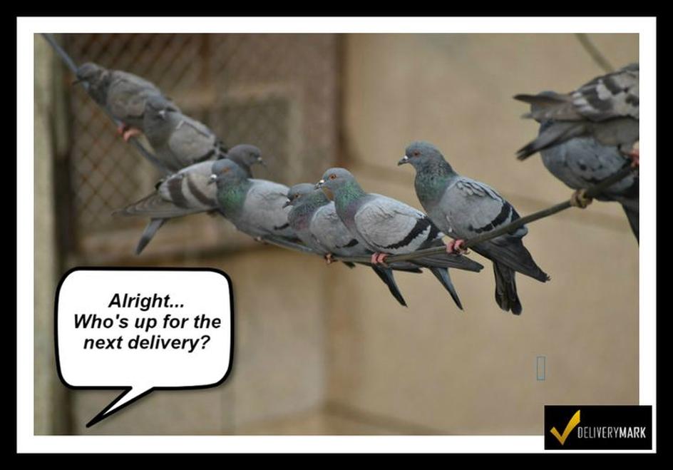 Naval use of pigeons took place mainly during the early 20th century, especially in World War I. It marked a brief window between the development of pigeon-fancying and the rapid adoption of wireless communication onboard naval vessels. By the end of the war, wireless telegraphy had become common even on smaller ships, rendering pigeon messaging obsolete.