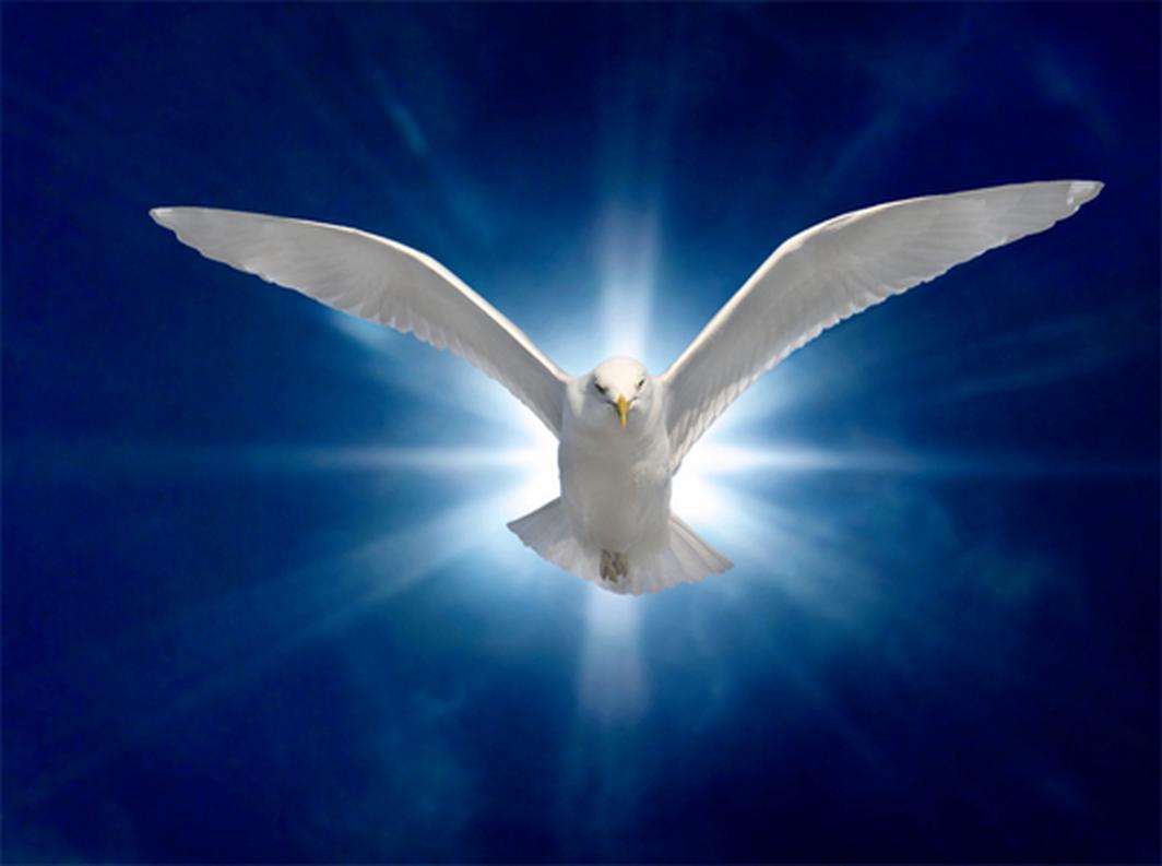 In Early Modern English, "ghost" carried a meaning closer to "spirit," allowing "Holy Ghost" to accurately reflect the original Greek phrase. The usage of "Holy Spirit" appeared only a few times in those early translations, less than 5% of instances.