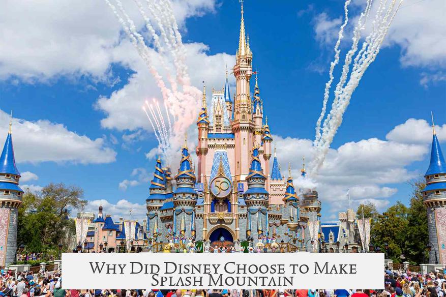 Why Did Disney Choose to Make Splash Mountain?
